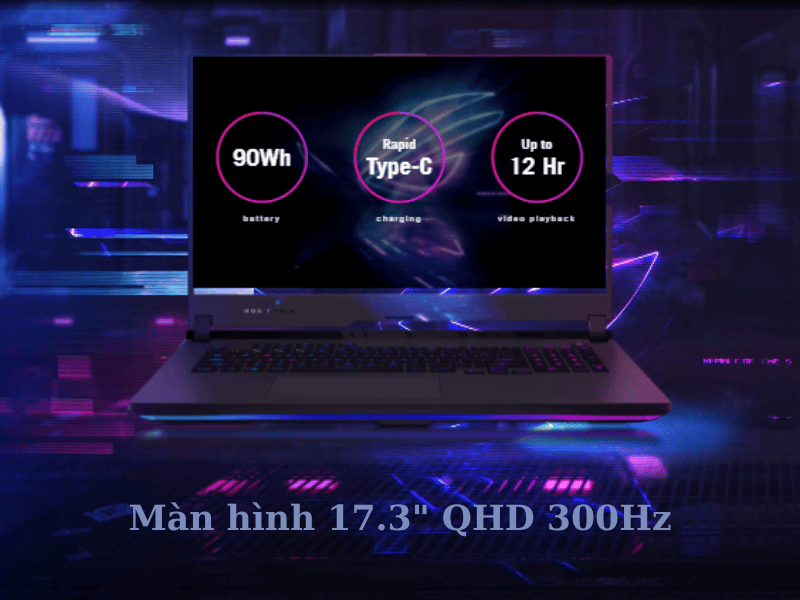 Asus Rog Strix G17 G713QR-ES96