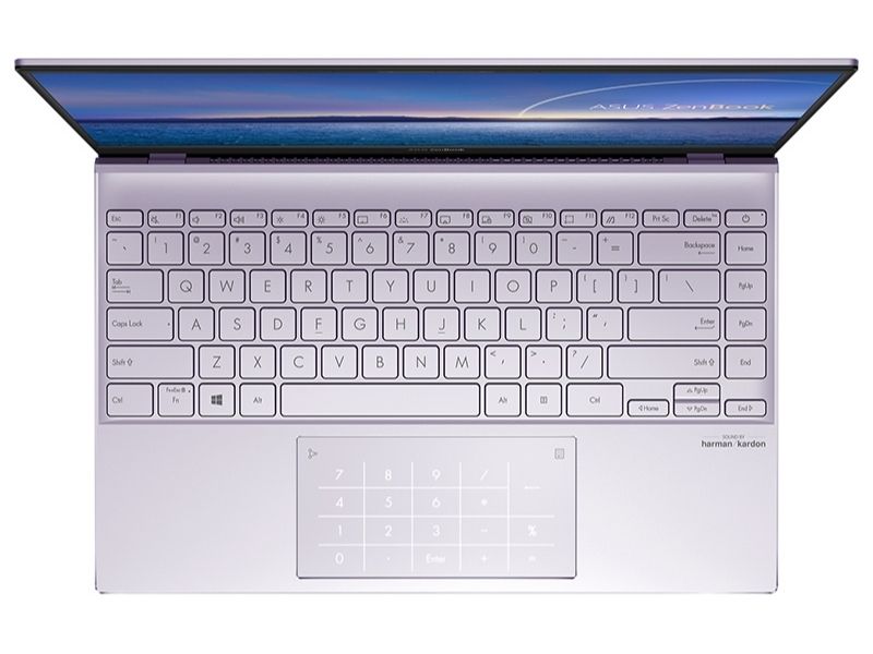 Asus ZenBook 14 UX425JA