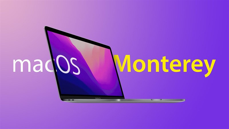 Hướng dẫn cách cập nhật MacOS Monterey chính thức cho MacBook, iMac...