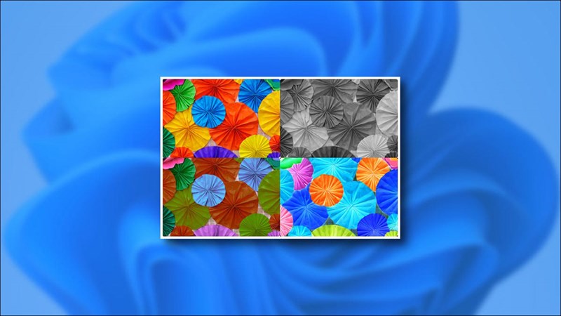 Cách đổi màu màn hình máy tính Windows 11, giúp người dùng khiếm thị về màu sắc trải nghiệm tốt hơn