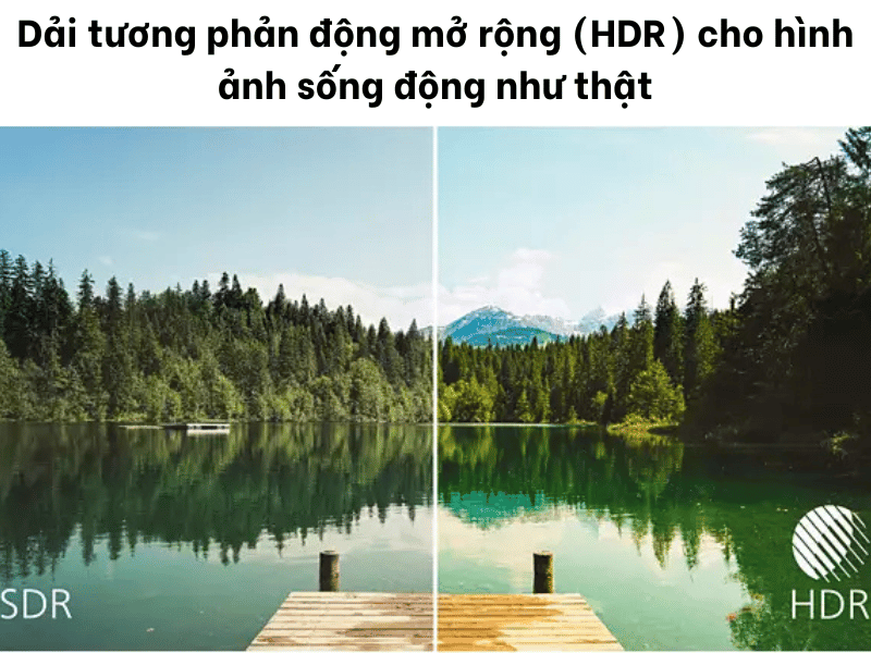 44044