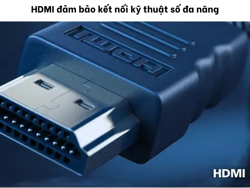 44047